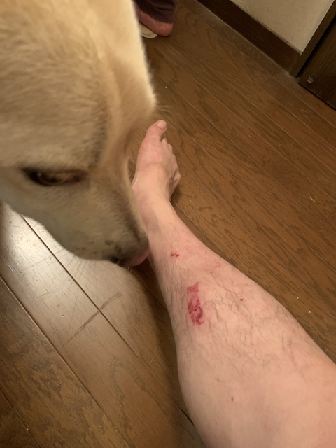唾つけといてあげる