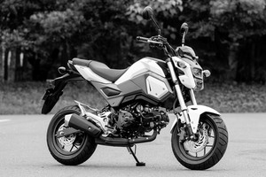 NEW GROM ・ Z125 PRO を丸裸に 1 NEW GROM ・ Z125 PRO を丸裸に 1