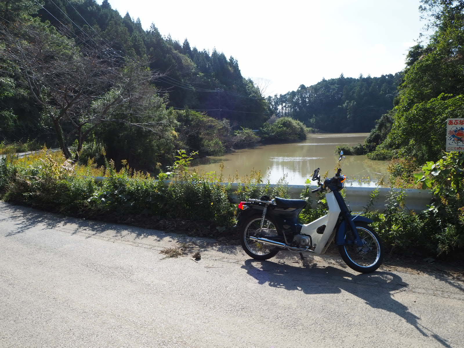 散歩してきました！