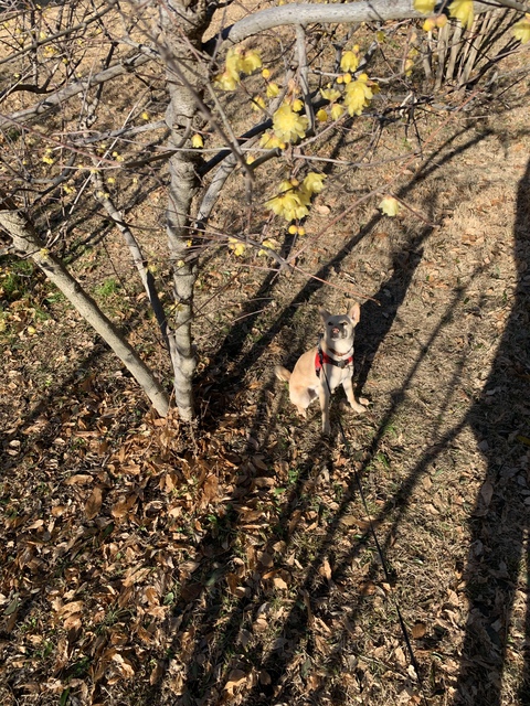休み中、いろいろ公園行ったけど。