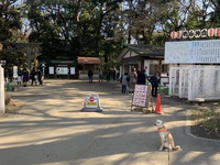 初詣！2020/01/03 2020/01/04 00:32:08