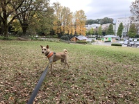 のんびりした！ 2019/11/13 23:16:46
