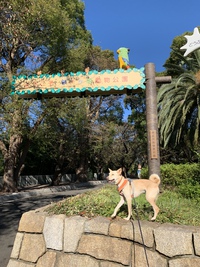 今日はお休み！動物園に行って来たよの巻！！ 2019/11/12 21:36:55