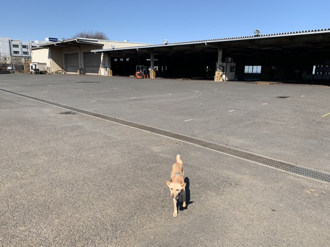 ゴンベイ農園！　川越ブランチ。