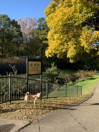 野川公園！ 2019/11/21 19:45:41