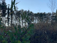 馬力屋オフロード部　練習会。 2019/11/10 19:09:24