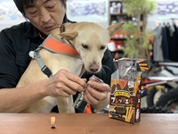 オヤツ大好き！ 2019/11/29 19:18:51