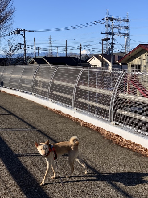 休み中、いろいろ公園行ったけど。