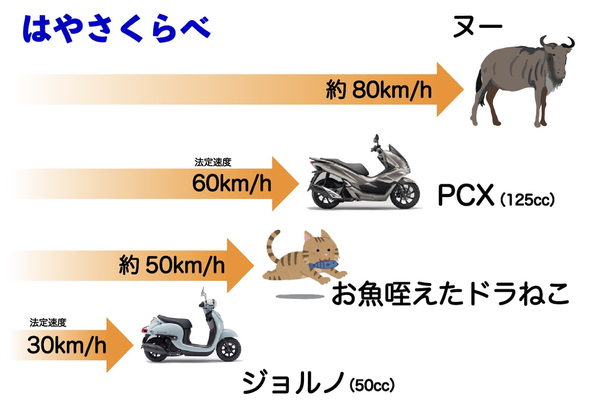 motocotoニュース